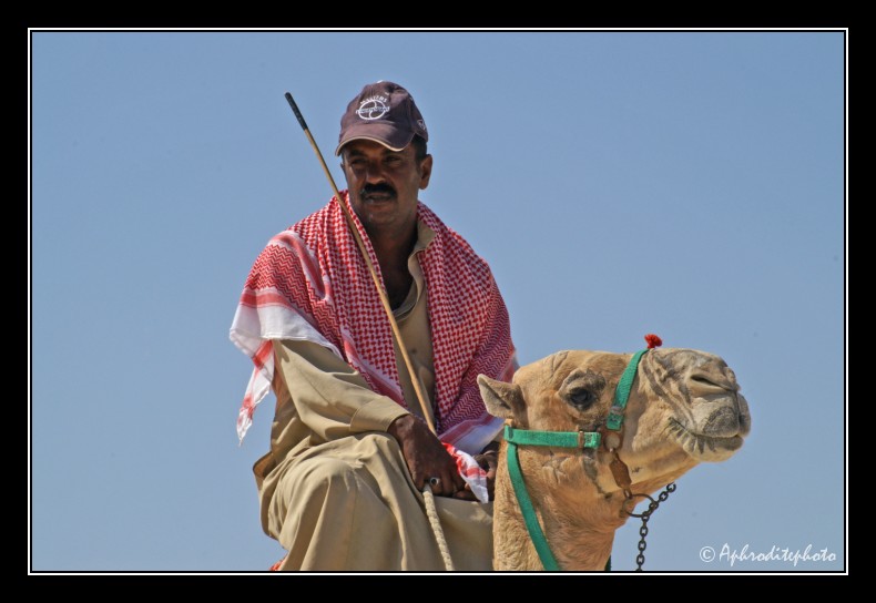 52 Egypt portraits